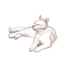 The cat is resting and squinting in pleasure. Hand drawn vector illustration. A quick sketch of a funny cat.