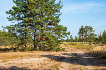 Sandy trail. Storsand, Monäs. Nykarleby/Uusikaarlepyy, Finland