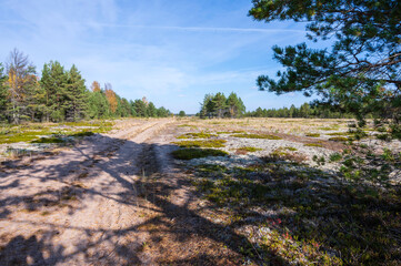 Sandy trail. Storsand, Monäs. Nykarleby/Uusikaarlepyy, Finland
