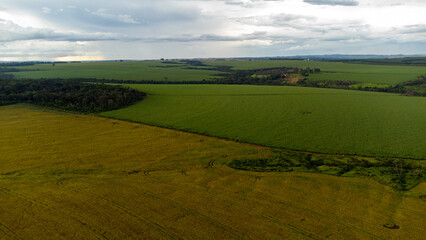 Obraz premium Landscape with field and sky