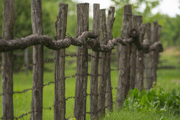 Wooden fence covered with barbed wire