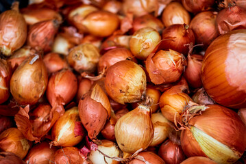 fresh organic onion. Background.