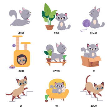 Cute Grey Cat Demonstrating Prepositions with Different Object Vector Set
