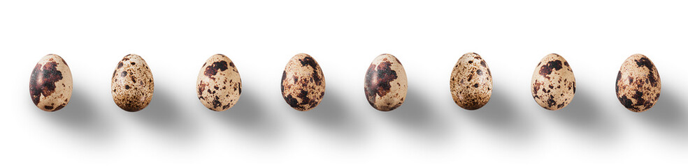 Line with shadows from quail eggs isolated on transparent