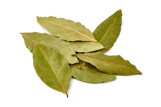 Bay leaves, isolated on white background.