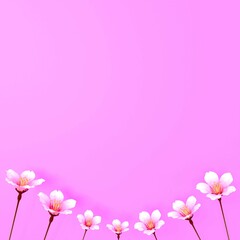 Fototapeta na wymiar Beautiful pink background with Sakura flowers (Japanese cherry blossoms)