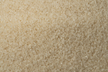 The fruit of rice grown mainly in Asia