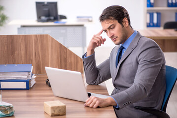 Young male employee working in the office