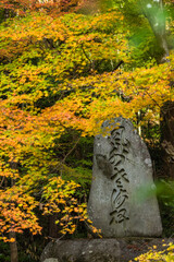 日本　愛知県豊田市足助町の香嵐渓の紅葉と石碑