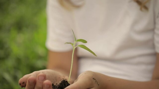 Caucasian girl is keeping a green seedling and soil in her hands