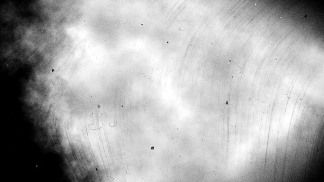 Vintage light distressed old photo dust, smudges, scratches and film grain background texture overlay with vignette border. Dirty urban grunge black and white retro noise effect  8k 16:9 3D rendering.