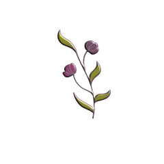 3d flower asset