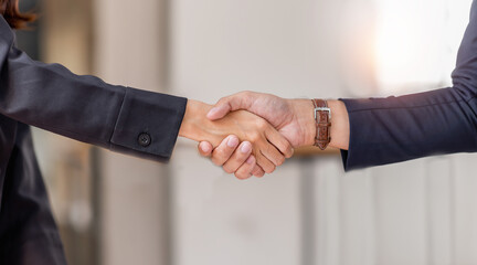 Business man offer and give hand for handshake in office. Successful job interview. Apply for loan...