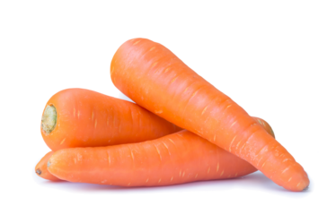 Three fresh orange carrots isolated with clipping path and shadow in png file format, Close up of healthy vegetable root with full focus