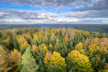 Scenic view over Black Forest, Germany in autumn colors