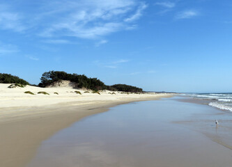 Beach of North Stradbroke Island, Queensland, Australia