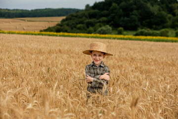 Naklejka na ściany i meble Portrait of smiling little farmer boy in a plaid shirt and straw hat in a wheat field.