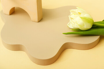 Podiums with white tulip on beige background, closeup. Hello spring