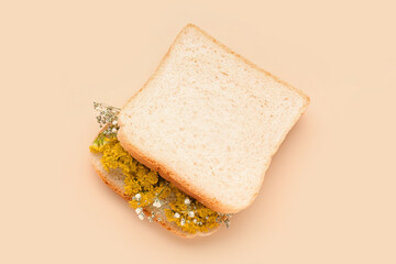 Sandwich with beautiful flowers on color background