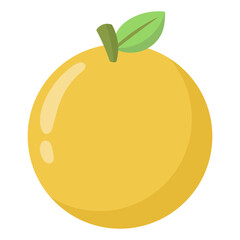 orange fruit illustration
