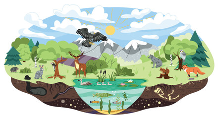 Concept of ecosystem. Biodiversity and different forest habitats, carnivore animals. Wild life and environment, biology, flora and fauna. Ecology and nature. Cartoon flat vector illustration - obrazy, fototapety, plakaty