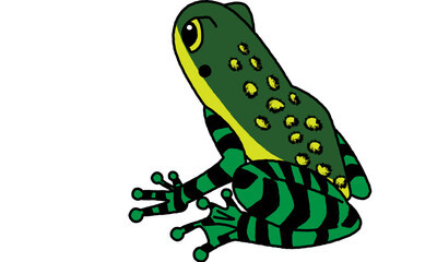 Fototapeta premium 世界自然遺産の島の生き物 アマミイシカワガエルのポップ調