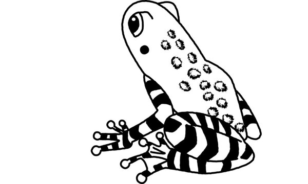 recommend clip art: 世界自然遺産の島の生き物　アマミイシカワガエルの線画のみ