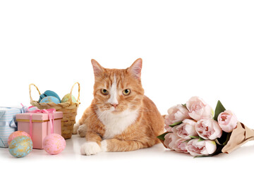 Fototapeta na wymiar Cute cat with gifts, Easter eggs and tulips on white background