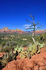 Capitol Butte as seen from Airport Mesa in Sedona, Arizona.