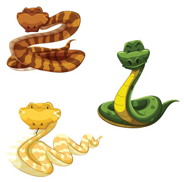 snake in the snake | illustration of a snake | Set of cartoon colour snakes in various poses. Cute smiling animals, funny reptiles of wild tropical nature. 