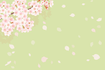 Obraz na płótnie Canvas 満開の桜と桜吹雪のイラスト、春のイメージの背景素材