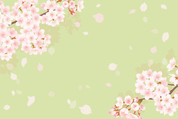 Obraz na płótnie Canvas 満開の桜と桜吹雪のイラスト、春のイメージの背景素材