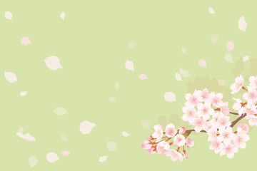 Fototapeta na wymiar 満開の桜と桜吹雪のイラスト、春のイメージの背景素材