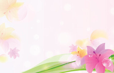 Spring floral colorful flowers background