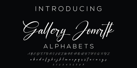Signature Font Calligraphy Logotype Script Brush Font Type Font lettering handwritten