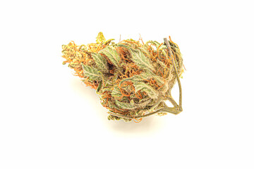 Dry cannabis buds on a white background