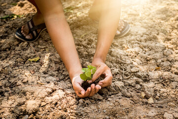 hand touching planting small plants with soil environmental science with new future technology business planning development and conservation protection