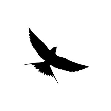 recommend clip art: Flying Swallow Bird Silhouette for Logo, Pictogram, Website. Art Illustration or Graphic Design Element. Vector Illustration