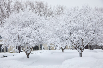 Beautiful white fluffy snow storm covering my entire neighborhood near Minneapolis Minnesota, USA