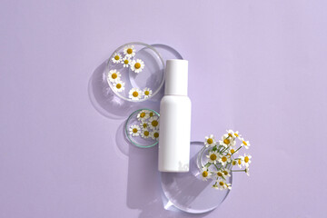 A top view of Chamomiles (Matricaria chamomilla) decorated with podium in purple background and a bottle with empty label for cosmetic product mockup