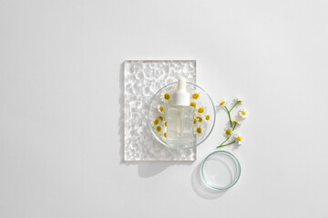 Top view of empty glass bottle, empty petri dish and matricaria chamomilla on white background. Flat lay cosmetic mockup. Luxury cosmetic products extract from camomile.