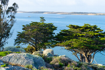 Morro Bay State Park hiking views. Some of those views are the Morro Rock, the marshes and wetlands where many birds are seen, wildflowers, big trees, sand dunes