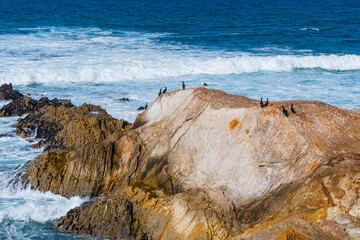 Views while hiking in Montana de Oro State Park. Some of those views are the rocky coastline,...