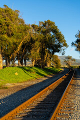 Golden hour views of Carpinteria State Beach on the California rocky coastline. Tall grasses blowing in the wind, dirt paths, rusty railroad tracks, bluffs, large eucalyptus trees, breaking waves.