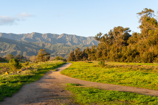Golden hour views of Carpinteria State Beach on the California rocky coastline. Tall grasses blowing in the wind, dirt paths, rusty railroad tracks, bluffs, large eucalyptus trees, breaking waves.