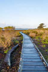 Obraz premium Morro Bay State Park views. Some of those views are the Morro Rock, the marshes, wetlands with many birds, elevated wooden path, starfish, smoke stacks, sand dunes, surfers, wildflowers, large trees.