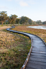 Morro Bay State Park hiking views. Some of those views are the Morro Rock, the marshes and wetlands where many birds are seen, the elevated wooden path, starfish, smoke stacks, sand dunes, surfers