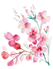 Fototapeta na wymiar 桜の花の水彩イラスト／AI画像