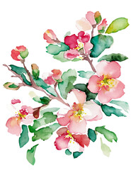 ハナミズキの花の水彩イラスト／AI画像