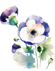 アネモネの花の水彩イラスト／AI画像